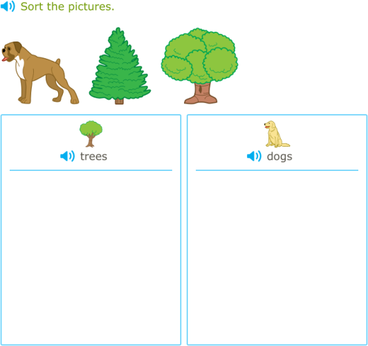 IXL Sort objects into categories (Kindergarten 1 English language